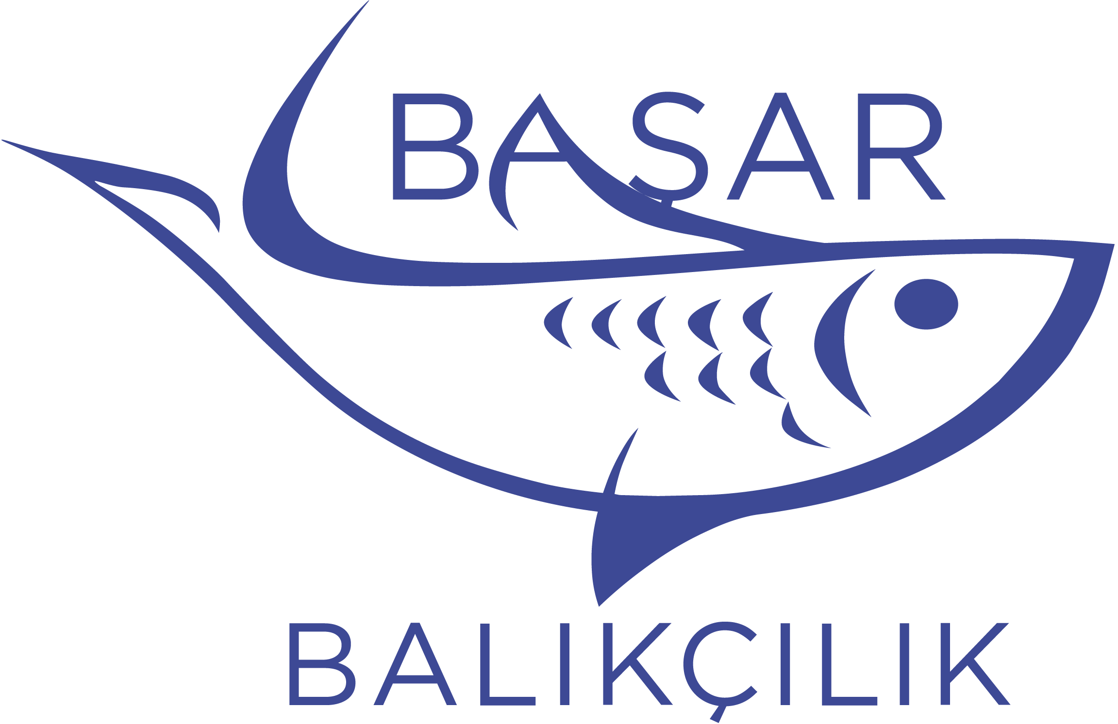 Başar Balıkçılık